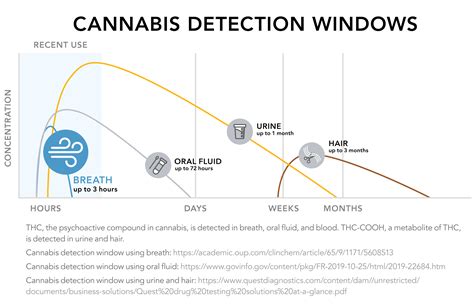 does liquid weed drops show up on a drug test|marijuana detection time chart.